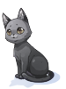 Costume Grey Cat
